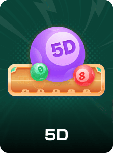 5D
